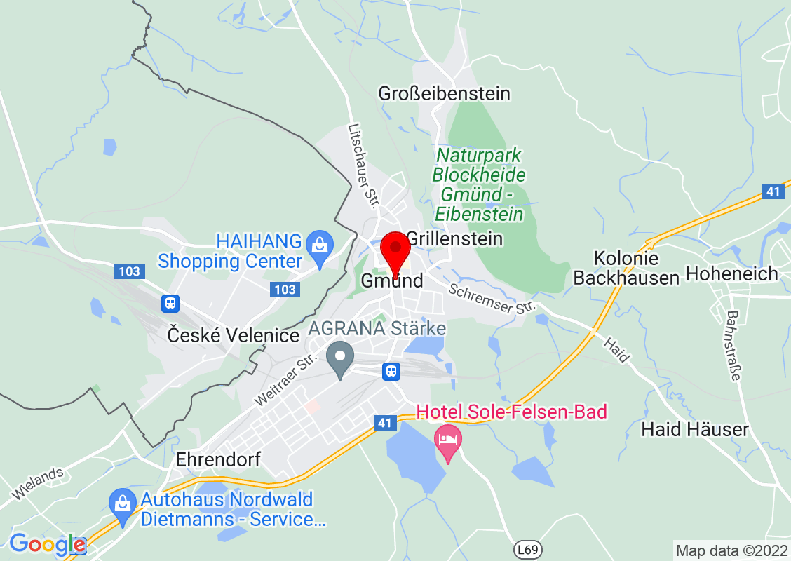 Google Maps Standort